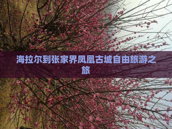 海拉尔去张家界凤凰古城团体旅游