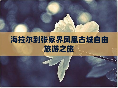 海拉尔去张家界凤凰古城团体旅游