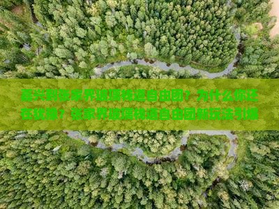 嘉兴到张家界玻璃栈道自由团