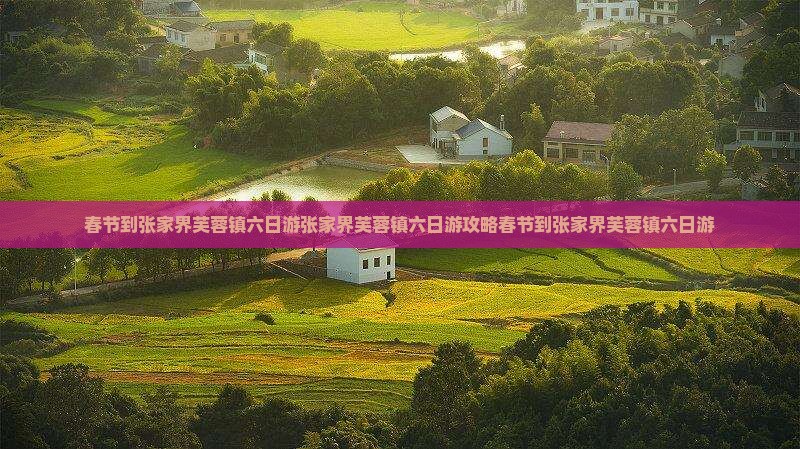 春节到张家界芙蓉镇六日游