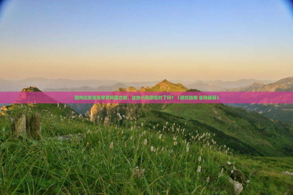随州去张家界凤凰古城旅游小吃