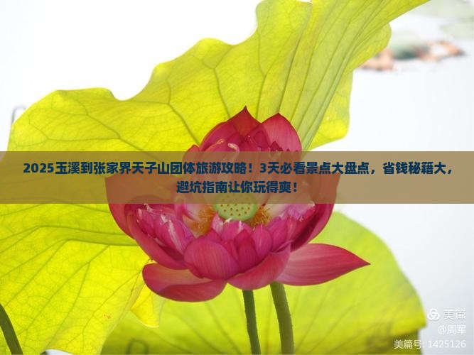 玉溪到张家界天子山团体旅游
