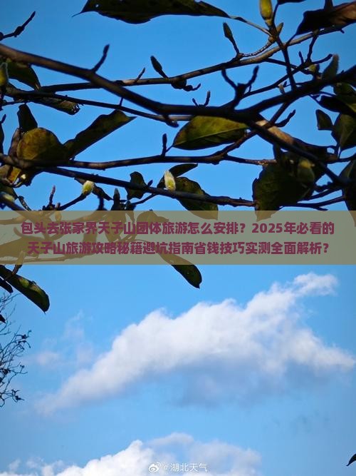 包头去张家界天子山团体旅游