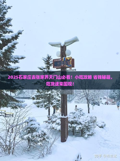 石家庄到张家界天门山旅游小吃
