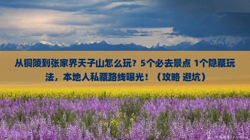 铜陵去张家界天子山哪里玩