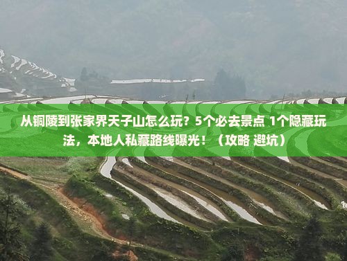 铜陵去张家界天子山哪里玩
