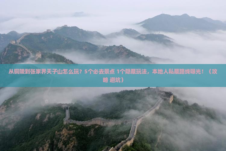 铜陵去张家界天子山哪里玩