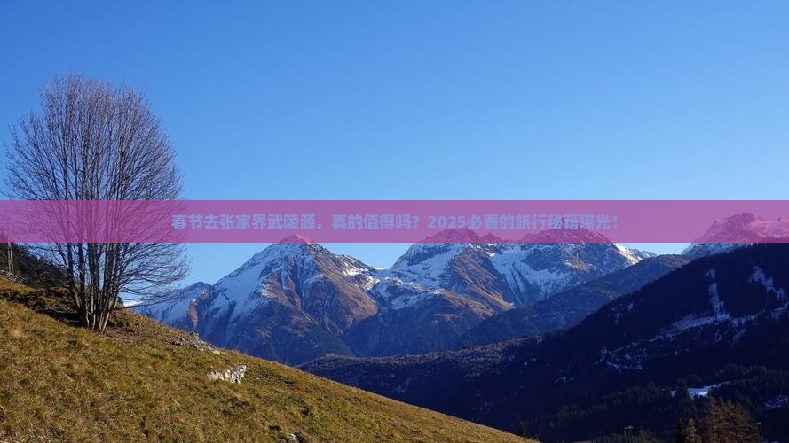 春节到张家界武陵源旅游