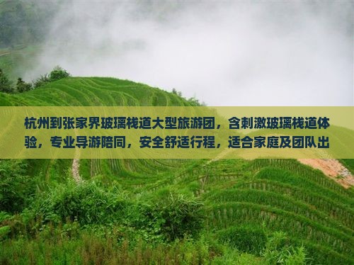 杭州到张家界玻璃栈道大型旅游团