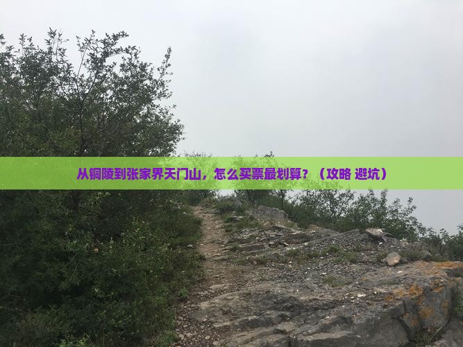铜陵去张家界天门山门票