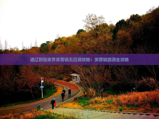 通辽市到张家界芙蓉镇五日游