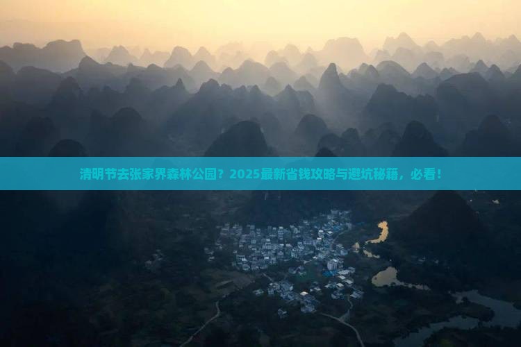 清明节到张家界森林公园旅行社