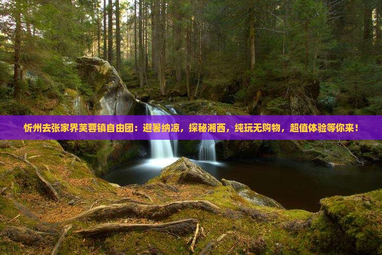 忻州去张家界芙蓉镇自由团