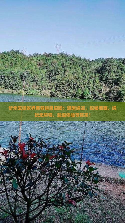 忻州去张家界芙蓉镇自由团