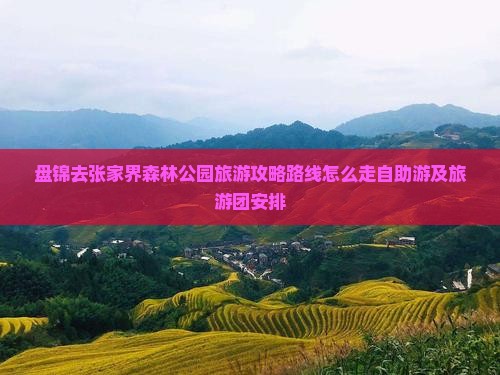 盘锦去张家界森林公园旅游
