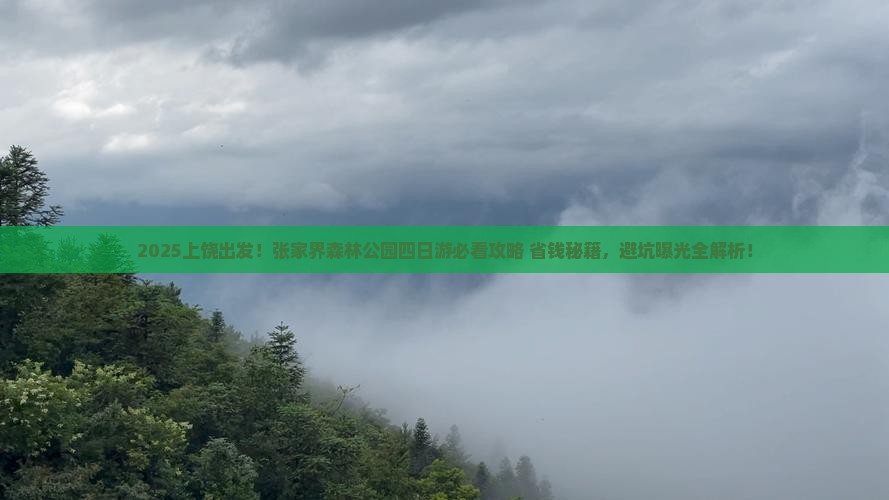 上饶到张家界森林公园四日游