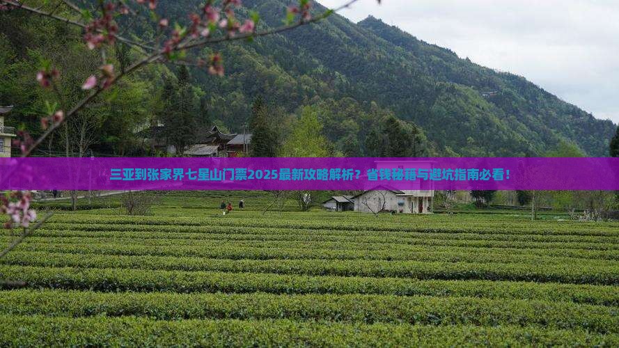 三亚到张家界七星山门票