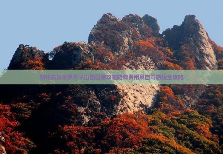 朔州去张家界天子山四日游