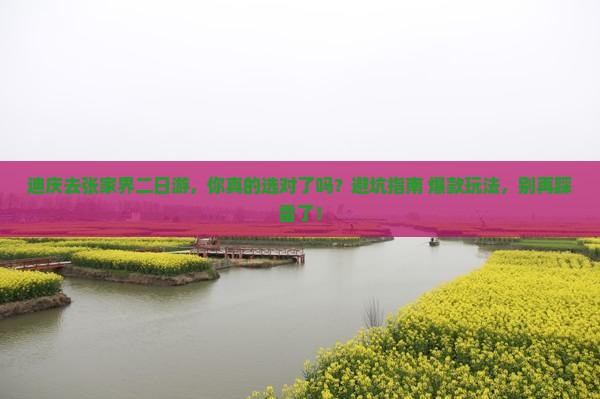 迪庆去张家界二日游