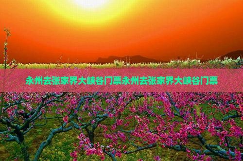 永州去张家界大峡谷门票