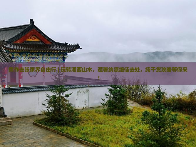 焦作去张家界自由行