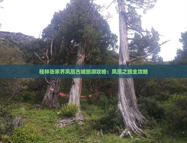 桂林去张家界凤凰古城个人游