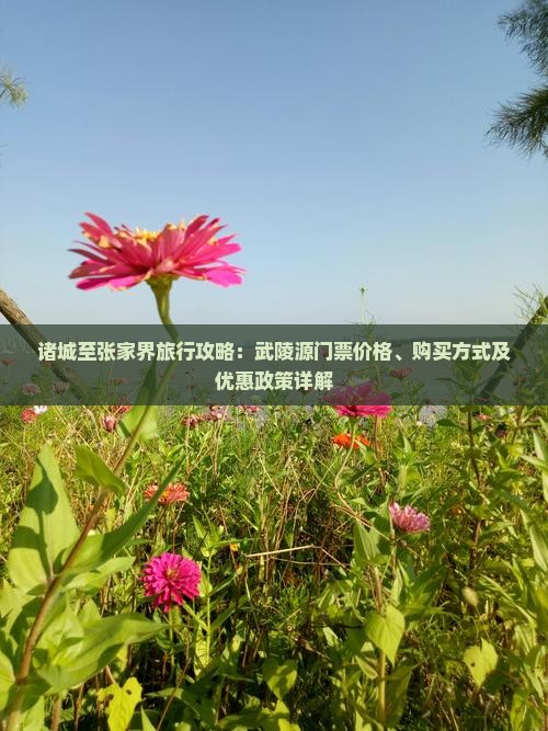 诸城至张家界旅行攻略：武陵源门票价格、购买方式及优惠政策详解