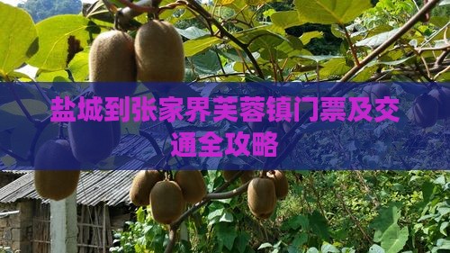 盐城到张家界芙蓉镇门票及交通全攻略