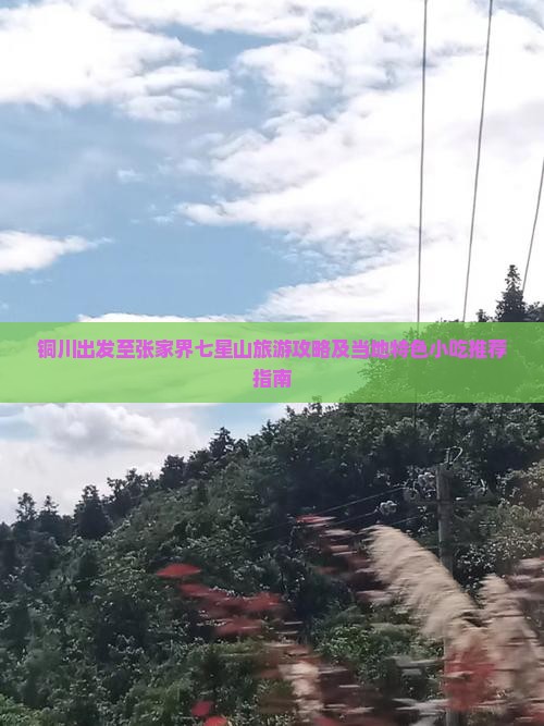 铜川出发至张家界七星山旅游攻略及当地特色小吃推荐指南