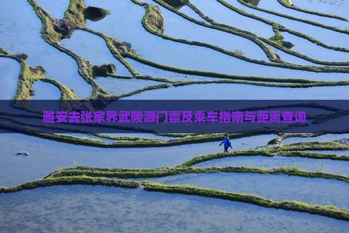 雅安去张家界武陵源门票及乘车指南与距离查询