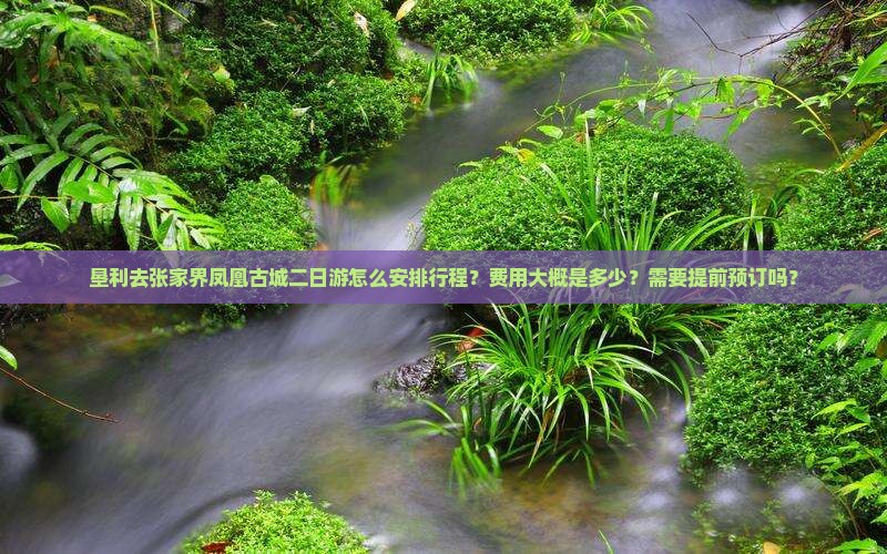 垦利去张家界凤凰古城二日游怎么安排行程？费用大概是多少？需要提前预订吗？