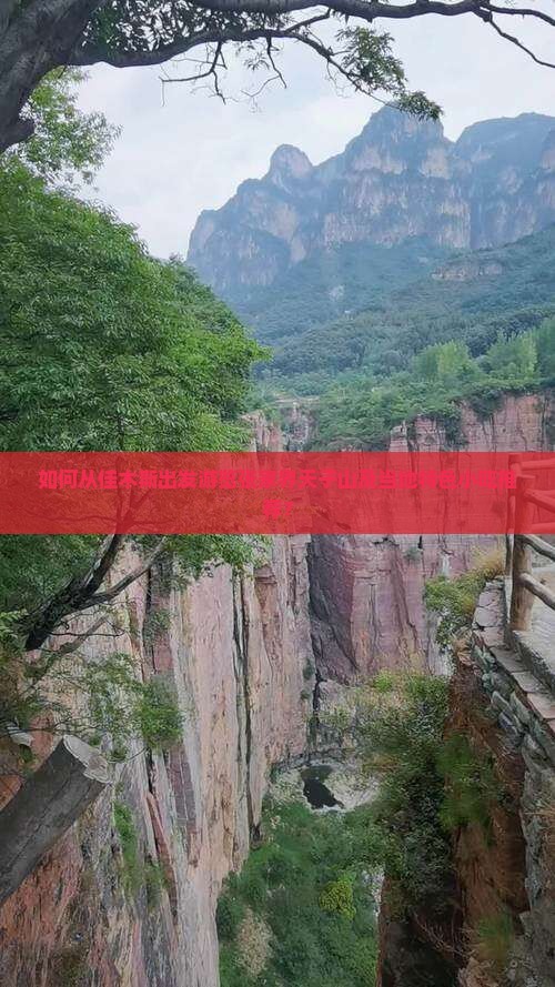 如何从佳木斯出发游览张家界天子山及当地特色小吃推荐？
