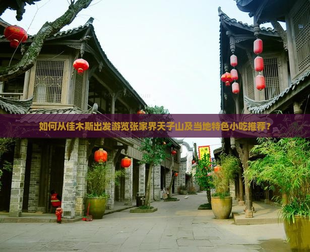 如何从佳木斯出发游览张家界天子山及当地特色小吃推荐？