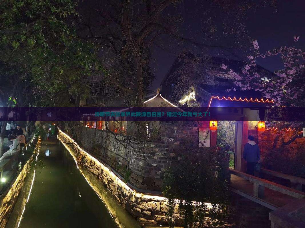 清明节去张家界武陵源自由团？错过今年就亏大了！