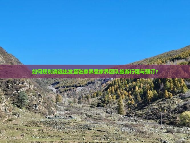 如何规划清远出发至张家界袁家界团队旅游行程与预订？