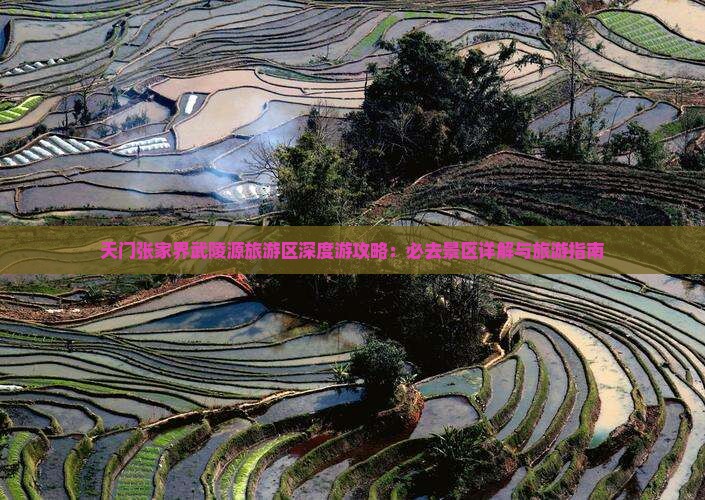 天门张家界武陵源旅游区深度游攻略：必去景区详解与旅游指南