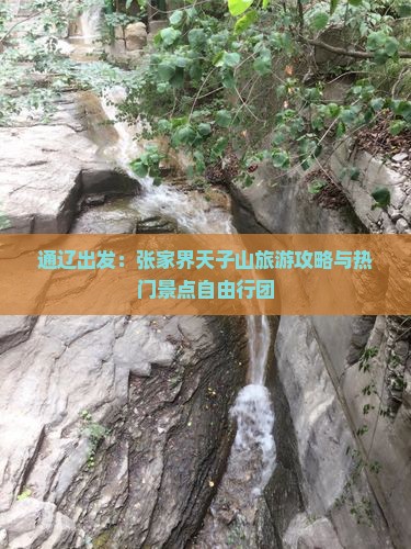 通辽出发：张家界天子山旅游攻略与热门景点自由行团