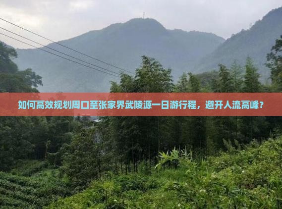 如何高效规划周口至张家界武陵源一日游行程，避开人流高峰？