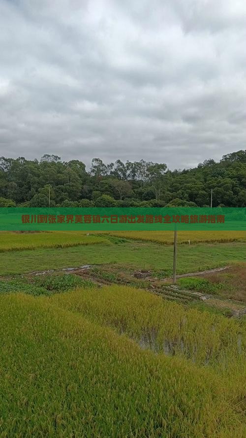 银川到张家界芙蓉镇六日游出发路线全攻略旅游指南