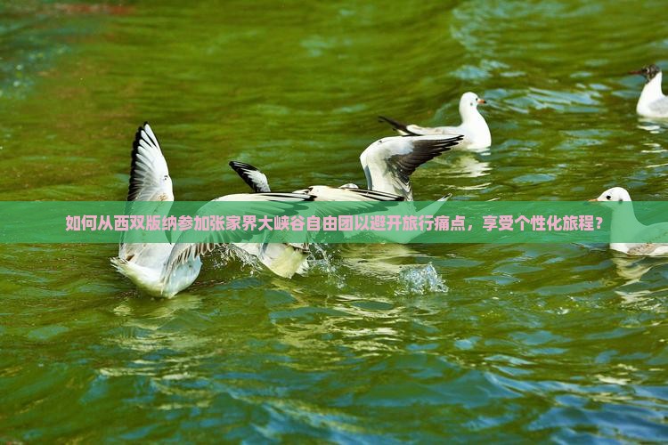 如何从西双版纳参加张家界大峡谷自由团以避开旅行痛点，享受个性化旅程？
