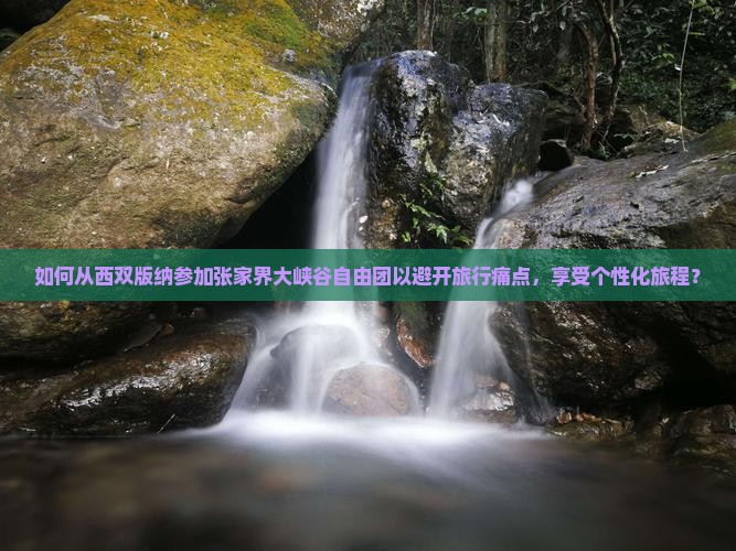 如何从西双版纳参加张家界大峡谷自由团以避开旅行痛点，享受个性化旅程？