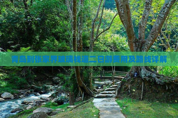青岛到张家界玻璃栈道二日游费用及路线详解