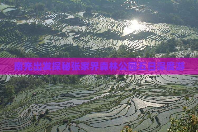 南充出发探秘张家界森林公园五日深度游