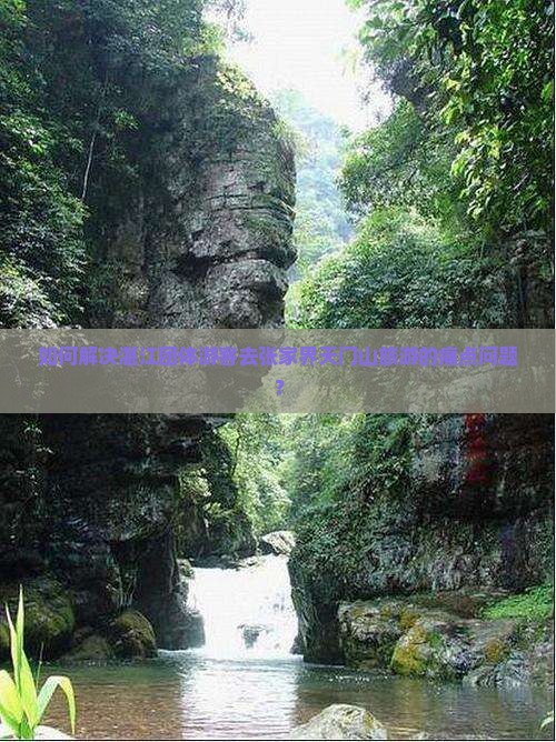 如何解决湛江团体游客去张家界天门山旅游的痛点问题？