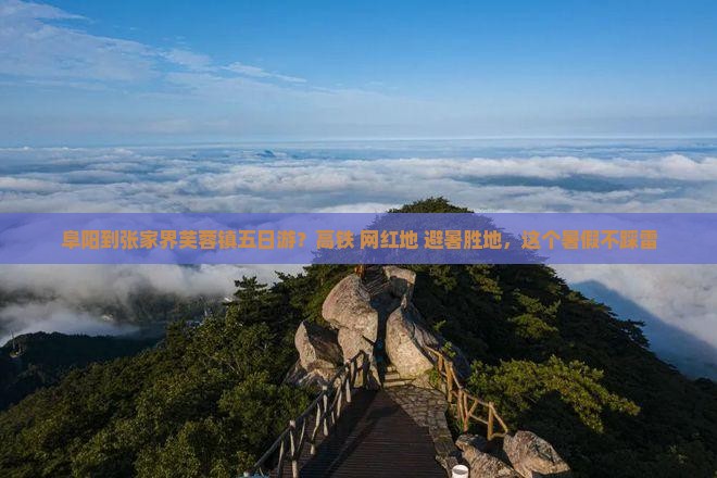 阜阳到张家界芙蓉镇五日游？高铁+网红地+避暑胜地，这个暑假不踩雷