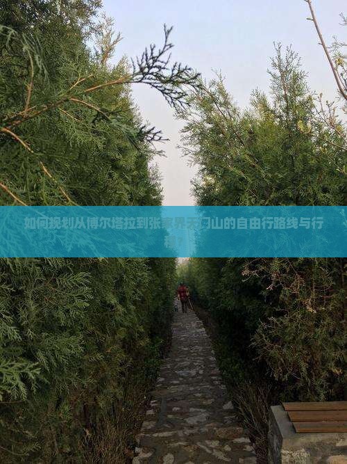 如何规划从博尔塔拉到张家界天门山的自由行路线与行程？