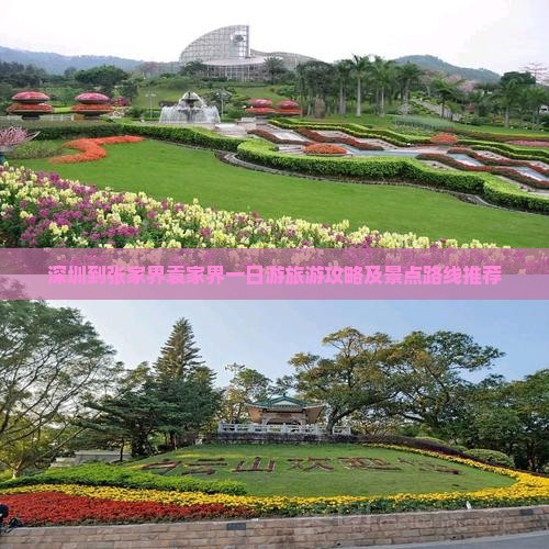 深圳到张家界袁家界一日游旅游攻略及景点路线推荐