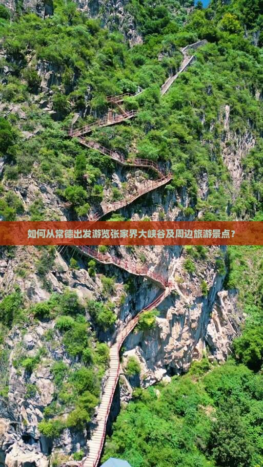 如何从常德出发游览张家界大峡谷及周边旅游景点？