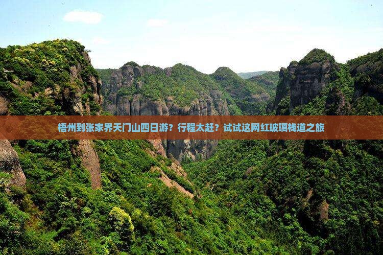 梧州到张家界天门山四日游？行程太赶？试试这网红玻璃栈道之旅