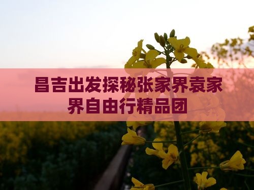 昌吉出发探秘张家界袁家界自由行精品团